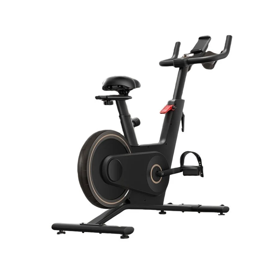 Kingsmith Spin Bisikleti - PB08S